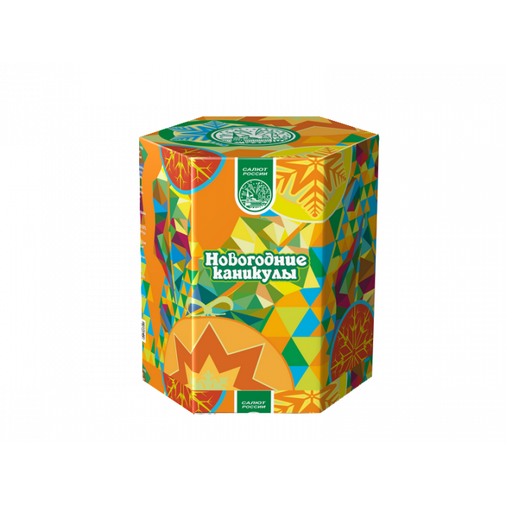 Новогодние каникулы